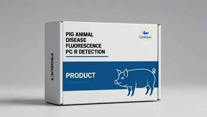 FMDV-Universal nucleic acid fluorescence PCR detection kit for swine foot-and-mouth disease virus (including direct lysis reagent)