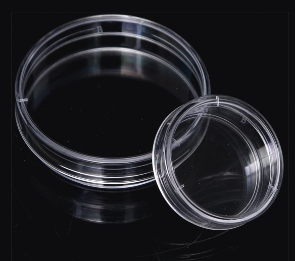 Round Petri Dishes