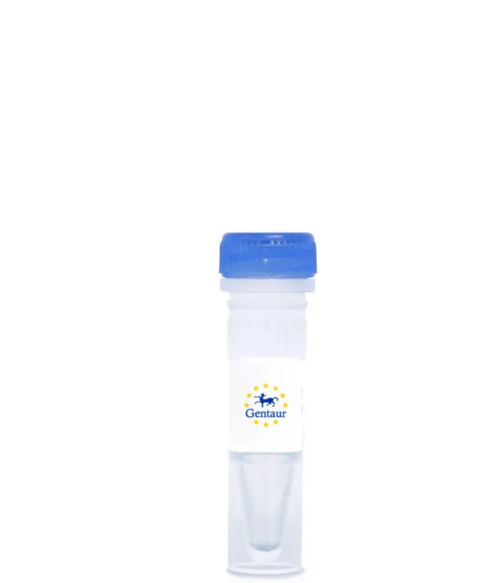 Cholera Toxin (PE)