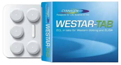 [XLS310] WESTAR-TAB
